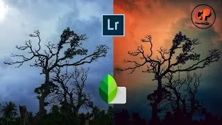 Lightroom Mobile Tutorial | Snapseed Mobile Tutorial |Best Landscape Photo Editing | Best Color