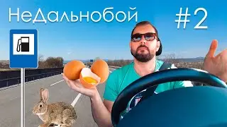 Облился солярой. Легенда о Польском бусе. Зоопарк на дороге – НеДальнобой #2