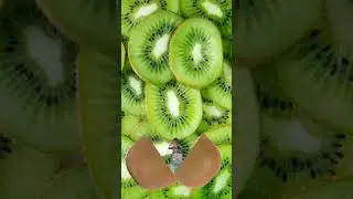 Foto fruta 