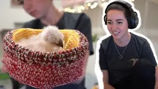 Maya feeds baby owls and answers questions!