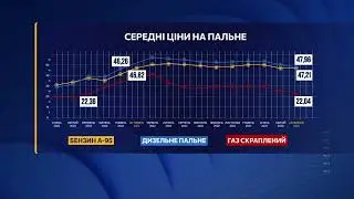 PALYVO