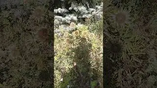 Тем, кто хочет поумнеть