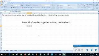Excel - How to insert or add line break or new line of text in Excel
