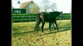 Nina; Toto jr x Future