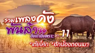 รวมเพลงดังพันล้าน ยิ่งเก่ายิ่งเพราะ ชุด 11 เต้ยโศก, ฮักน้องตอนเมา