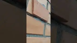 #равшан #топ #строительство #лучшаяработавмири