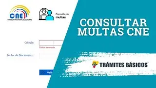¿Cómo consultar si tienes multas con el CNE en Ecuador?