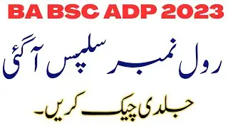 BA BSc Exams 2023 Roll No Slips Download | ADP Annual 2023 Exams Roll No Slips Upload