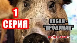 НЕ СНЯЛ БЫ - НЕ ПОВЕРИЛИ))))