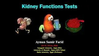 Dr. Ayman Samir - Renal Function Tests (Lecture 3/Part 1)