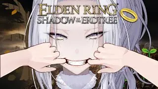 【Elden Ring DLC】How Strong Is The Simp Squad?