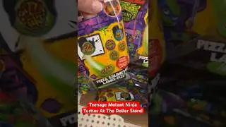 Teenage Mutant Ninja Turtles Everywhere! 