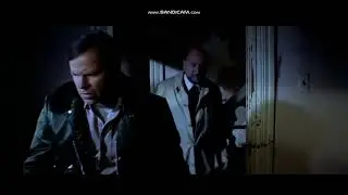 Halloween (1978) A Female Dog's Death!