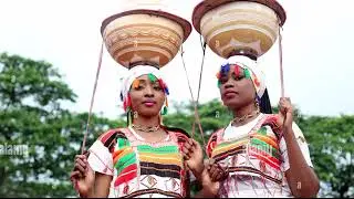 Nigerians in the Diaspora - Making the difference