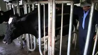 SAFE Farms: Animal Safety
