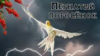 Suno - Пернатый поросёнок (v.6)