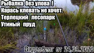 Рыбалка без улова! Утиный пруд. Терлецкий парк. 24.09.2020.