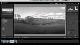 Using Adjustment Brushes in LrC
