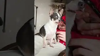 Bonne journée à tous 🥰🥰🥰