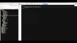 Webview Loaded with Local HTML Files