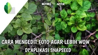 CARA MENGEDIT FOTO DI APLIKASI SNAPSEED