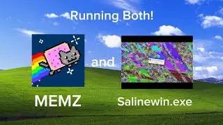 Running MEMZ and Salinewin.exe virus both!