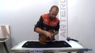 Artero Universal Slicker Brush