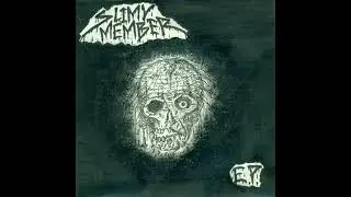 Slimy Member -  E.P  (2015)