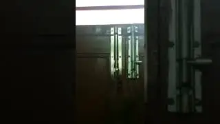 old house visit in native after 1 year (4)