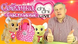 Собачка Chi Chi Love интерактивная Счастливчик 10 5893110