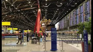 Шереметьево. Терминал C.