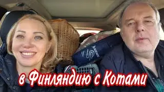 Поехали в Ремонт...в Наш Дом Котулями и Котами/ Начинаем как подростки)