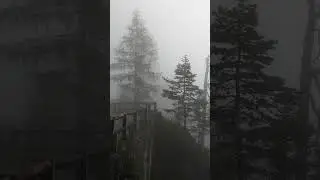 Лайк, подписка, комментарий 😘