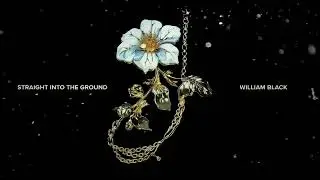 William Black - Straight Into The Ground
