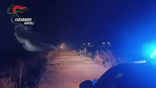 ORDIGNO TROVATO NELLE CAMPAGNE DEL NAPOLETANO