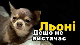 Льоні дещо не вистачає