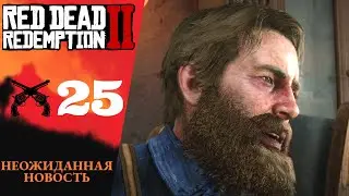 🩺 Red Dead Redemption 2 Walkthrough ㉕ Icarus and Friends, Wisdom of the Elders | RDR 2 RDR 2
