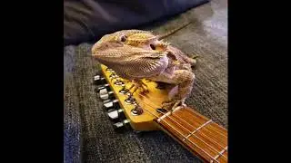 "Something" - Julien Baker (Cover)