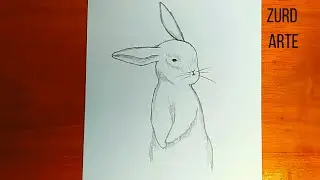 ✍Tutoriales de dibujo a lápiz / Como dibujar un conejo 🐰 realista