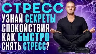 УзнаЙ СЕКРЕТЫ СпокойствиЯ. КаК БыстрО СНЯТЬ СТРЕСС?Самопомощь.  #Психотерапевт #ОлегБолдырев #птср