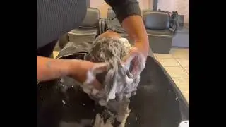 ASMR - Shampoo Sounds