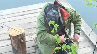 Кубок Lucky John - 2018 (береговой спиннинг)