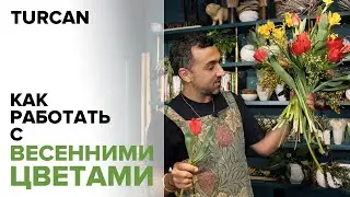 How to work with tulips. Frame bouquet of spring flowers. 