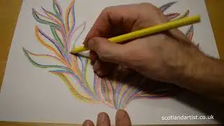 Drawing a colored plant