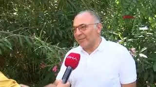 Doğaya atılan ilaçlar, balıklarda davranış bozukluğuna yol açıyor