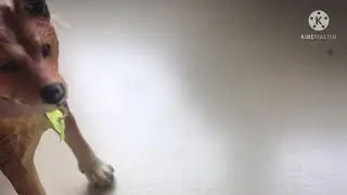 Задавайте вызовы эти ребятам)