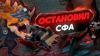 ОСТАНОВИЛ ПРЕСТУПНИКА НА СФЕ