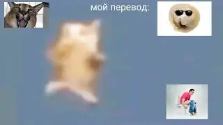 шни шна шипы шнапи шнапи.Мой перевод: 