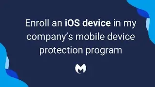 Enroll an iOS or iPadOS device in my company's mobile device protection program