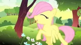MLP So Many Wonders (Gizoogle ver)